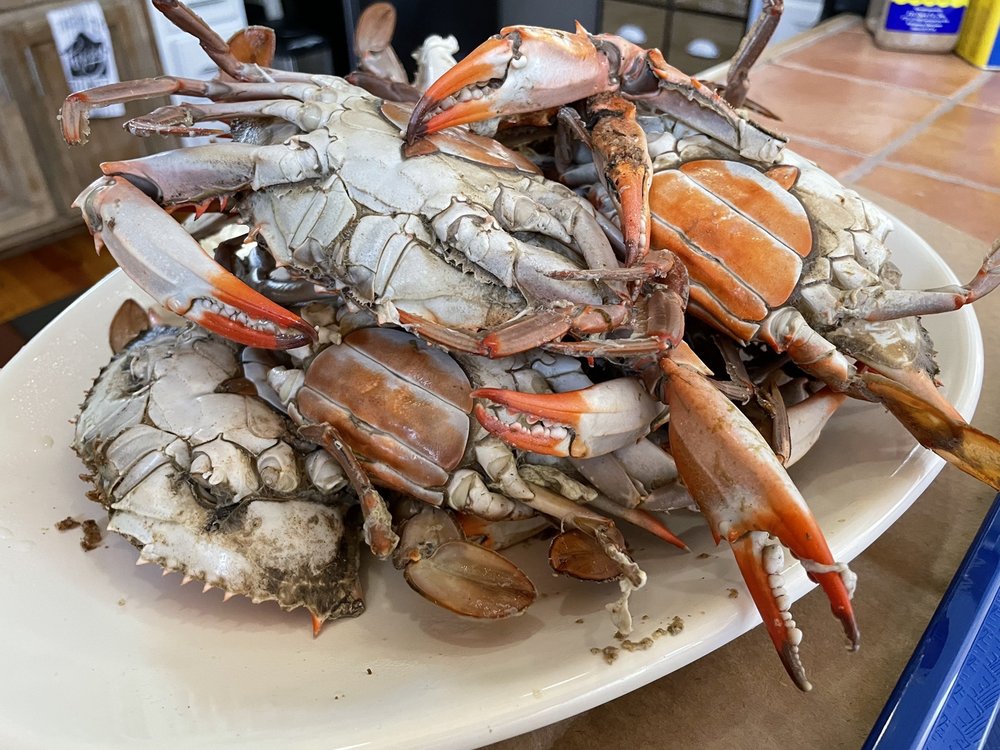 BILLY’S SEAFOOD Updated October 2024 72 Photos & 67 Reviews 16780 River Rd, Bon Secour