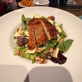 The Chicken or the Egg - Chicken Walnut Salad - Chicken Wings Near Me - Marlton, New Jersey The Chicken or the Egg - Chicken Walnut Salad - Chicken Wings Near Me - Marlton, New Jersey