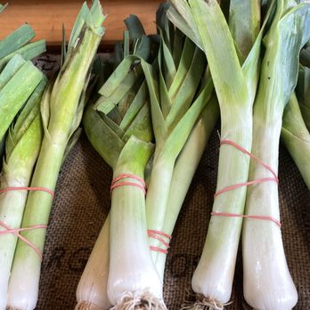 Land's Sake Farm - Leeks! - Farmers Market Near Me - Weston, Massachusetts Land's Sake Farm - Leeks! - Farmers Market Near Me - Weston, Massachusetts