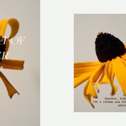 Max - Photography Exhibition 'Portrait Of A Flower' from October 30th till spring 2021