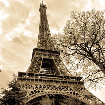 Danni Hink Photography - Eiffel Tower View - Session Photography Near Me - New York, New York Danni Hink Photography - Eiffel Tower View - Session Photography Near Me - New York, New York