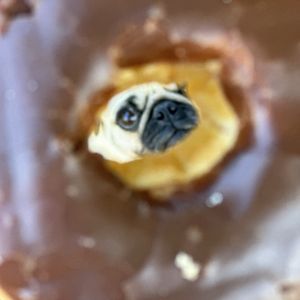 PANA Donuts Coffee & Boba Tea on Yelp