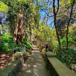 Piedmont Park - Trails