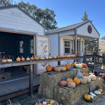 Tenfold Farmstand - Farmers Market Near Me - Petaluma, California