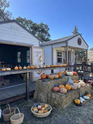 Tenfold Farmstand by null