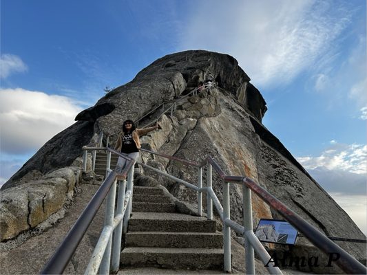 Sequoia National Forest by null