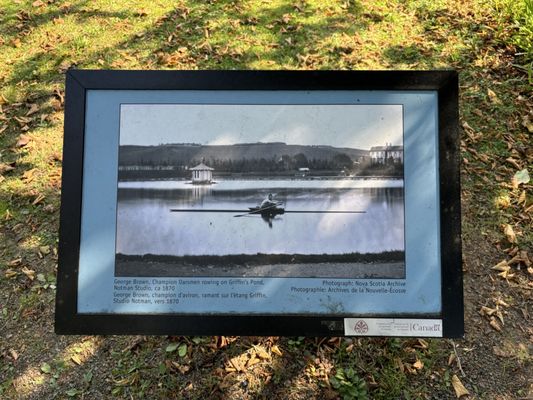 Halifax Public Gardens by null