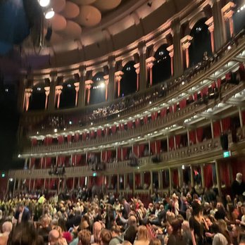 Royal Albert Hall - Music Venues Near Me - Kensington, XGL