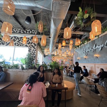 Wild - The vibes are immaculate - Coffee & Tea Near Me - Houston, Texas Wild - The vibes are immaculate - Coffee & Tea Near Me - Houston, Texas