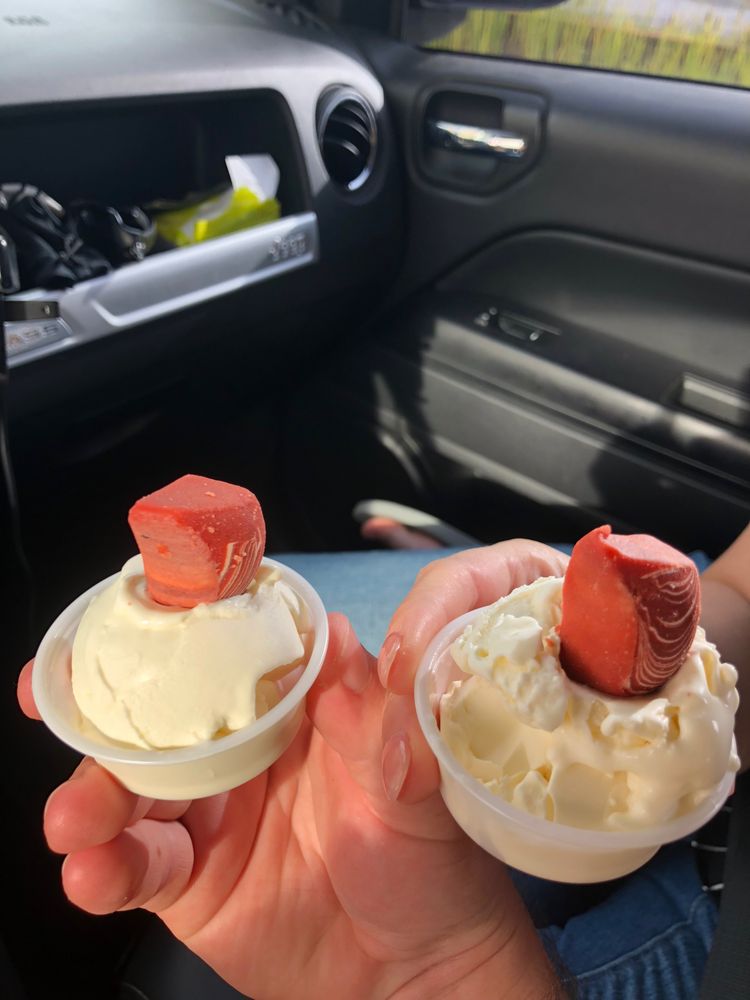 culver's pup cup