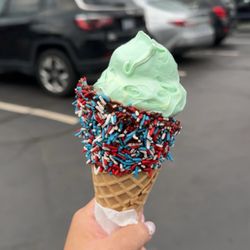 Custard Corner - Mint chocolate chip small scoop with chocolate cone