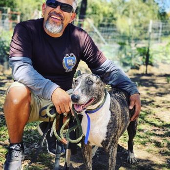 Epic Dog Academy - Cali and BFFFFF - Pet Training Near Me - Temecula, California Epic Dog Academy - Cali and BFFFFF - Pet Training Near Me - Temecula, California