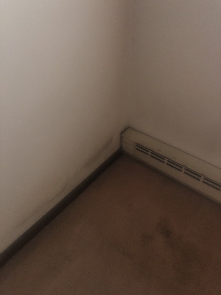 ELLICOTT OAK APARTMENTS Updated August 2024 329 Howard Ave