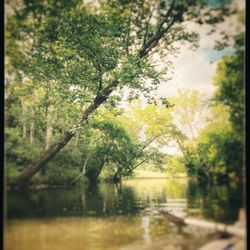 Devil's Backbone Park - back waters