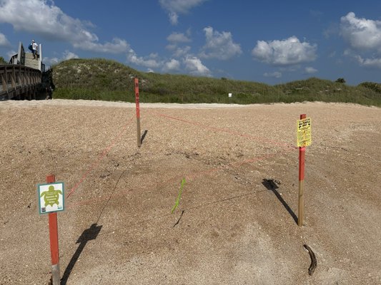 Guana Tolomato Matanzas National Estuarine Research Reserve by null