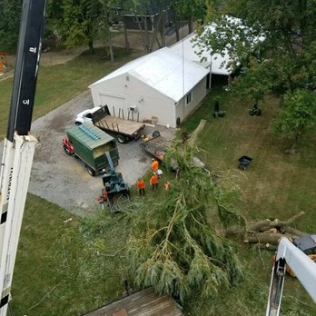 Sidonian Tree Service - Tree Services Near Me - Maumee, Ohio