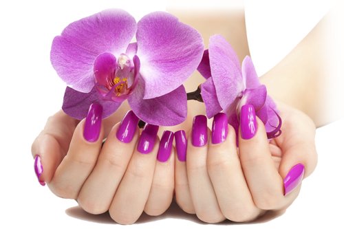 Best care is to love yourself - Come to us today with your designs and we'll do our best to meet your expectations.
Look good, feel good... you'll be in a better mood. Best care is to love yourself - Come to us today with your designs and we'll do our best to meet your expectations.
Look good, feel good... you'll be in a better mood.