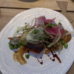 Salmon