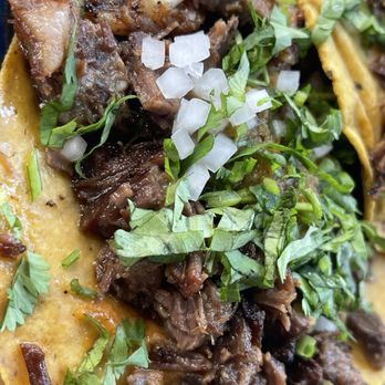 Pancita - Suadero tacos - Mexican Near Me - Seattle, Washington Pancita - Suadero tacos - Mexican Near Me - Seattle, Washington