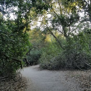 Whiting Ranch Wilderness Park - Parks Near Me - Foothill Ranch, California Whiting Ranch Wilderness Park - Parks Near Me - Foothill Ranch, California