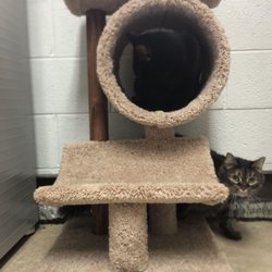 Lucky Mutz Pet Resort