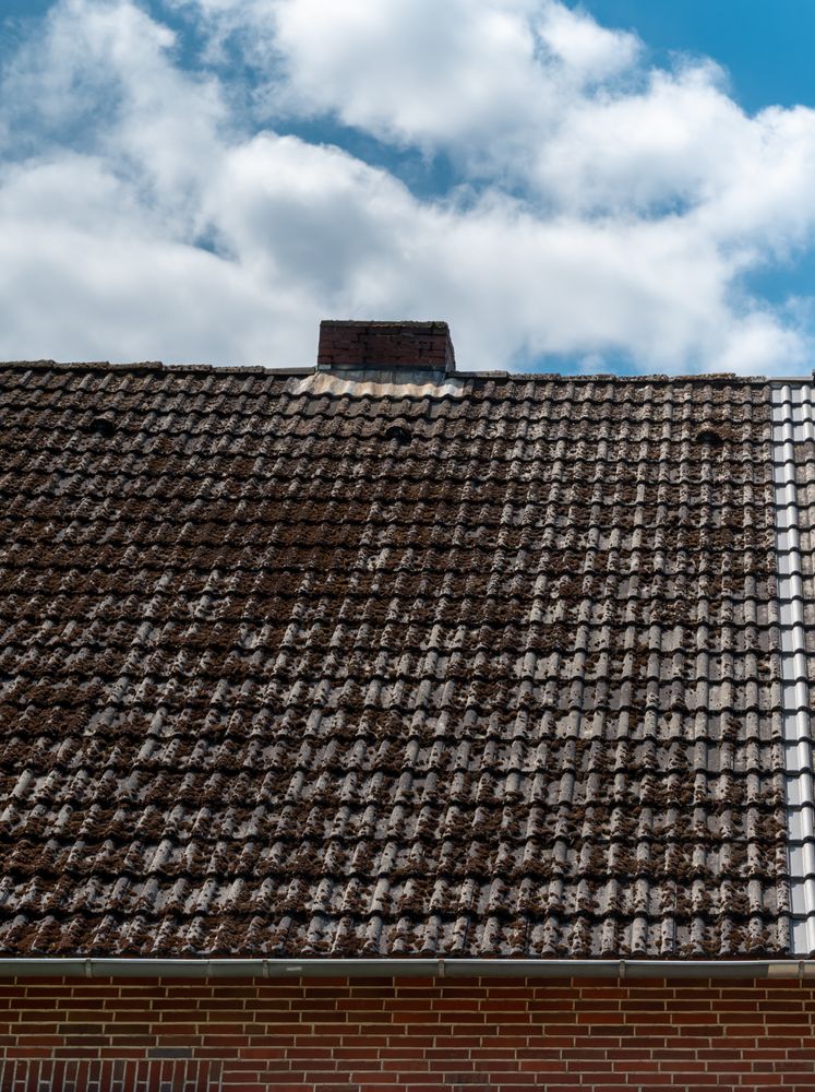 Slide of The Skyline Pros