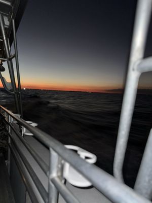 Robbie's of Islamorada by null