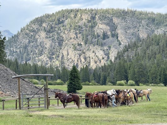 Roosevelt Corrals by null