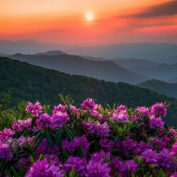 Doughton Park - Blue Ridge Parkway in The Spring