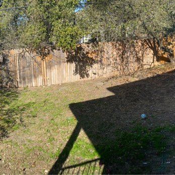 Constant Lawn and Gardener - Dirt pile and dangerous prickly bushes - Tree Services Near Me