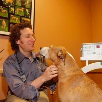 Holistic Veterinary Care - Dr. Richter and a furry friend near the Pulsed Signal Therapy (PST) machine at Holistic Vet Care. - Veterinarians Near Me - Oakland, California