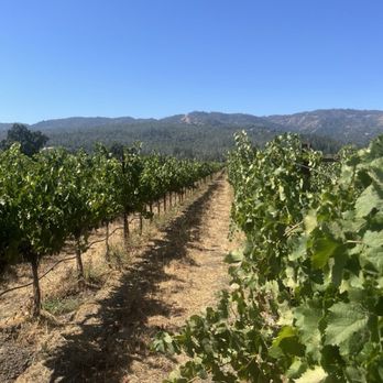 HALL Wines - Wineries Near Me - Saint Helena, California HALL Wines - Wineries Near Me - Saint Helena, California
