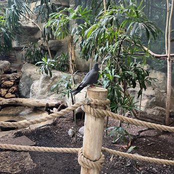 Lincoln Park Zoo - Zoos Near Me - Chicago, Illinois Lincoln Park Zoo - Zoos Near Me - Chicago, Illinois