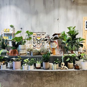 Gia and the Blooms - Florists Near Me - Cincinnati, Ohio