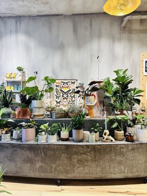 Gia and the Blooms -OTR by null