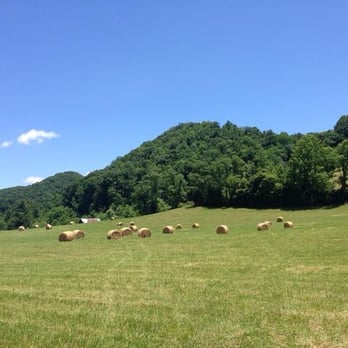 Creeper Trail Campground - Campgrounds Near Me - Whitetop, Virginia