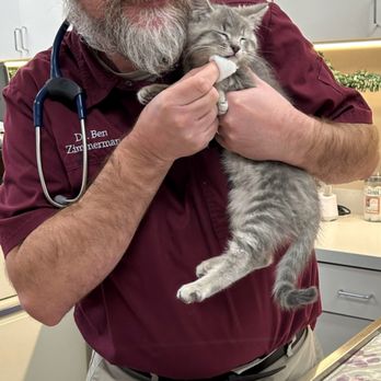 Bluegrass Veterinary Hospital - Veterinarians Near Me - Gallatin, Tennessee Bluegrass Veterinary Hospital - Veterinarians Near Me - Gallatin, Tennessee