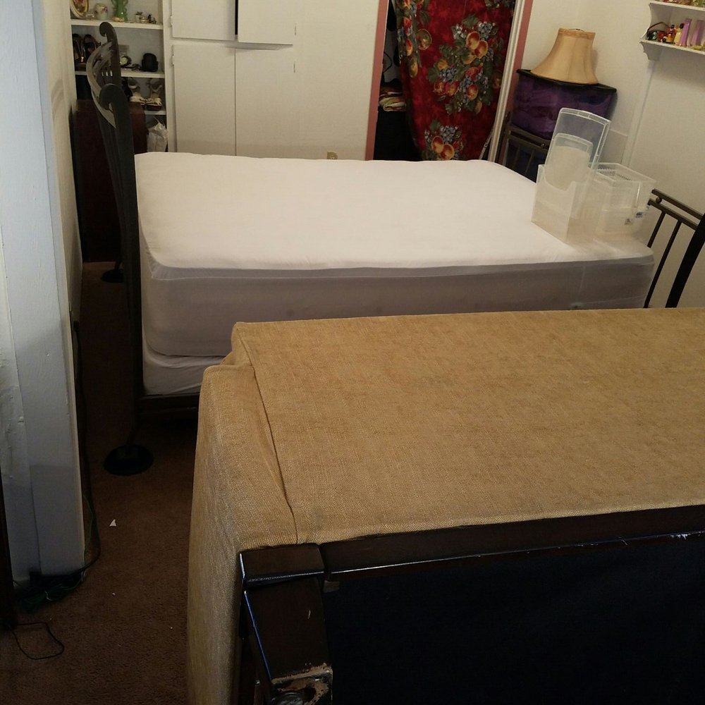 Bed Bugs All Gone - Everything is sealed and sprayed for a year they won't reach me if I follow his instructions. They will die every day. I win!!!!! - Pest Control Near Me Bed Bugs All Gone - Everything is sealed and sprayed for a year they won't reach me if I follow his instructions. They will die every day. I win!!!!! - Pest Control Near Me