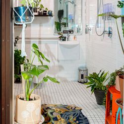 Tulum Kava & Kratom - Come on down to Bula Tulum Austin, check out our tiny plant store, and grab yourself a refreshing Kava or Kratom tea!