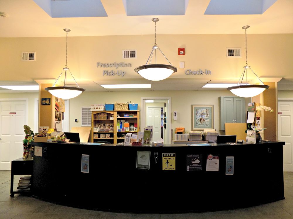 HURLEY VETERINARY HOSPITAL Updated September 2024 11 Photos & 22 Reviews 509 Hurley Ave