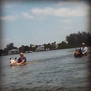CPonies - Horseback Riding Near Me - Bradenton, Florida CPonies - Horseback Riding Near Me - Bradenton, Florida