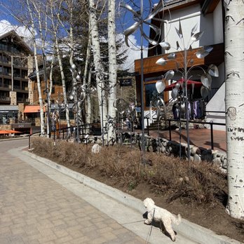 Vail Village - A small white dog on a leash walks along a paved sidewalk in a shopping district with trees and storefronts, under a clear blue sky. - Local Flavor Near Me - Vail, Colorado