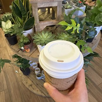 Green Haus Cafe - Butterscotch Oat Latte - Cafes Near Me - Boston, Massachusetts Green Haus Cafe - Butterscotch Oat Latte - Cafes Near Me - Boston, Massachusetts