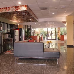 Ortiz Wellness