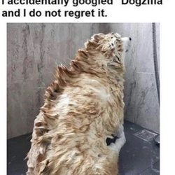 McDonald's - Dogzilla