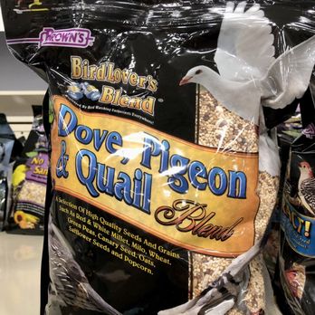 PetSmart - Pet Training Near Me - Bridgewater, New Jersey PetSmart - Pet Training Near Me - Bridgewater, New Jersey