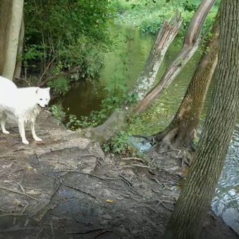 Freedom Barks Dog Park - Dog Parks Near Me - Medford, New Jersey