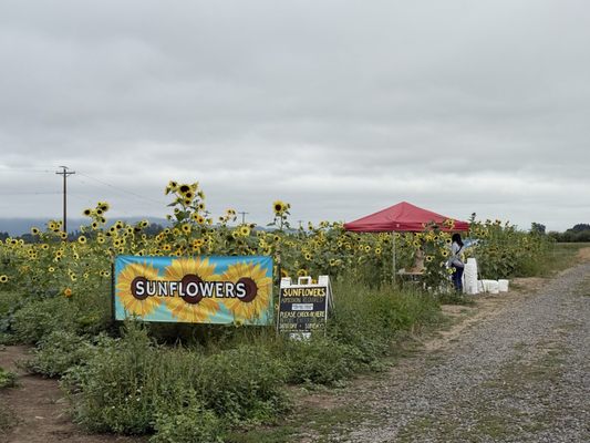 Bella Organic Farm by null