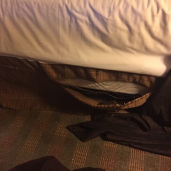 Great Wolf Lodge - Just hideous! - Resorts Near Me - Centralia, Washington Great Wolf Lodge - Just hideous! - Resorts Near Me - Centralia, Washington
