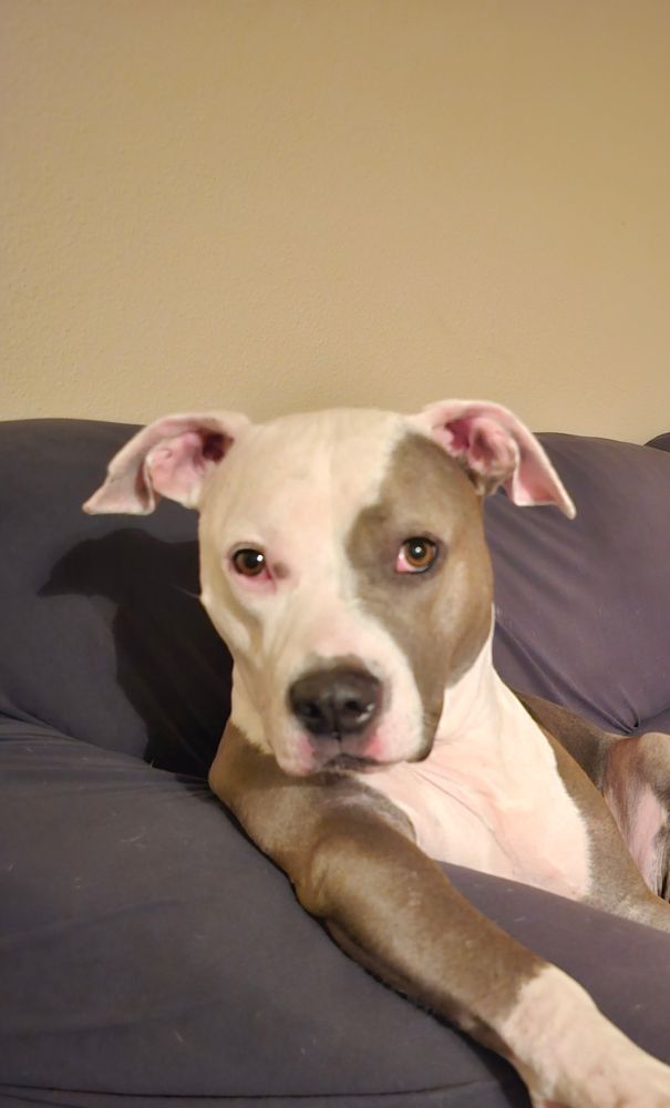 TUALATIN PARK VETERINARY CLINIC Updated October 2024 42 Reviews